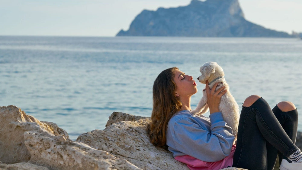 Girl with little white dog on a rock and ocean background