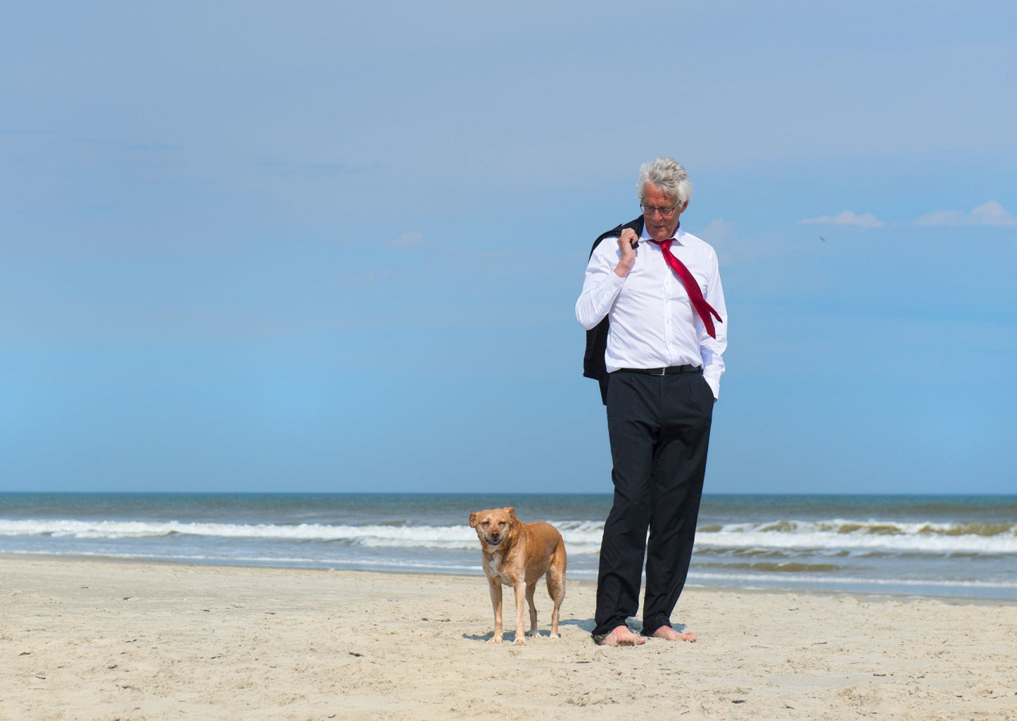 Relaxed man walking with a dog on the beach