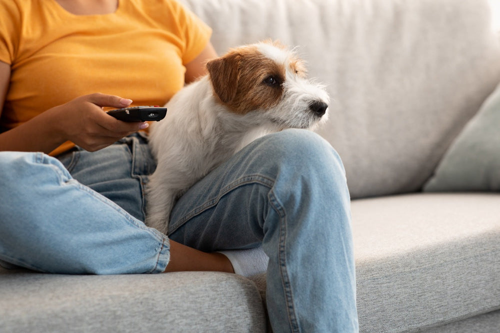 Woman watching tv with small dog